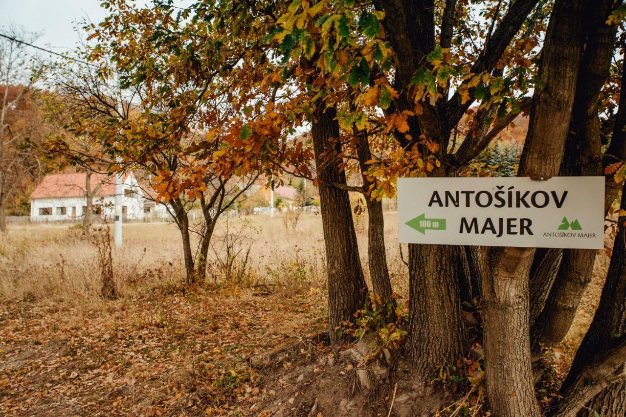 Antosikov Majer Guest House Banska Stiavnica Ngoại thất bức ảnh